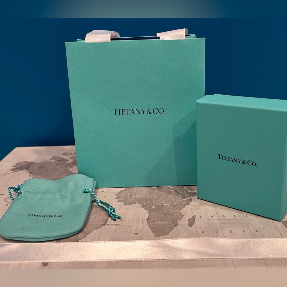 Tiffany & Co. Turquoise Bag with White Ribbon